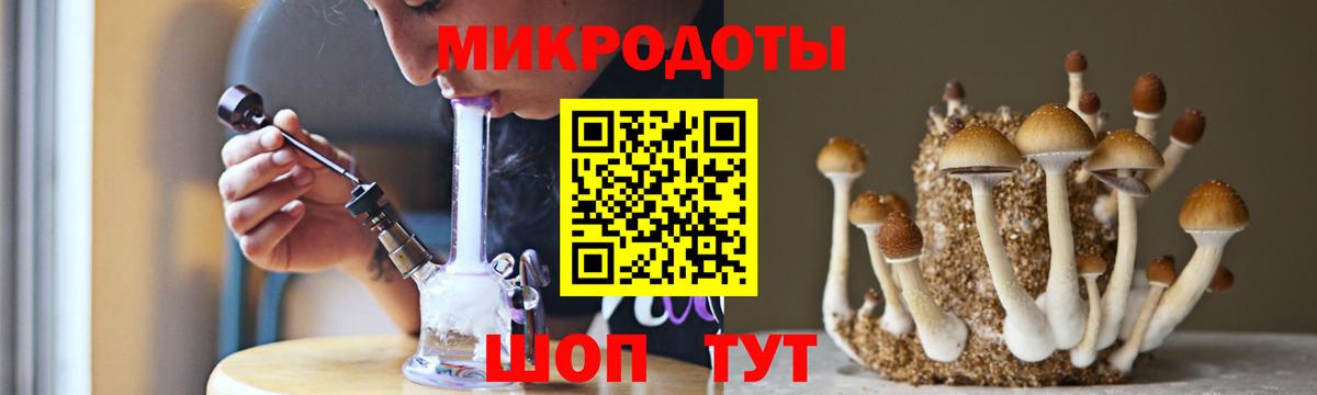 Псилоцибиновые грибы мицелий Пыть-Ях